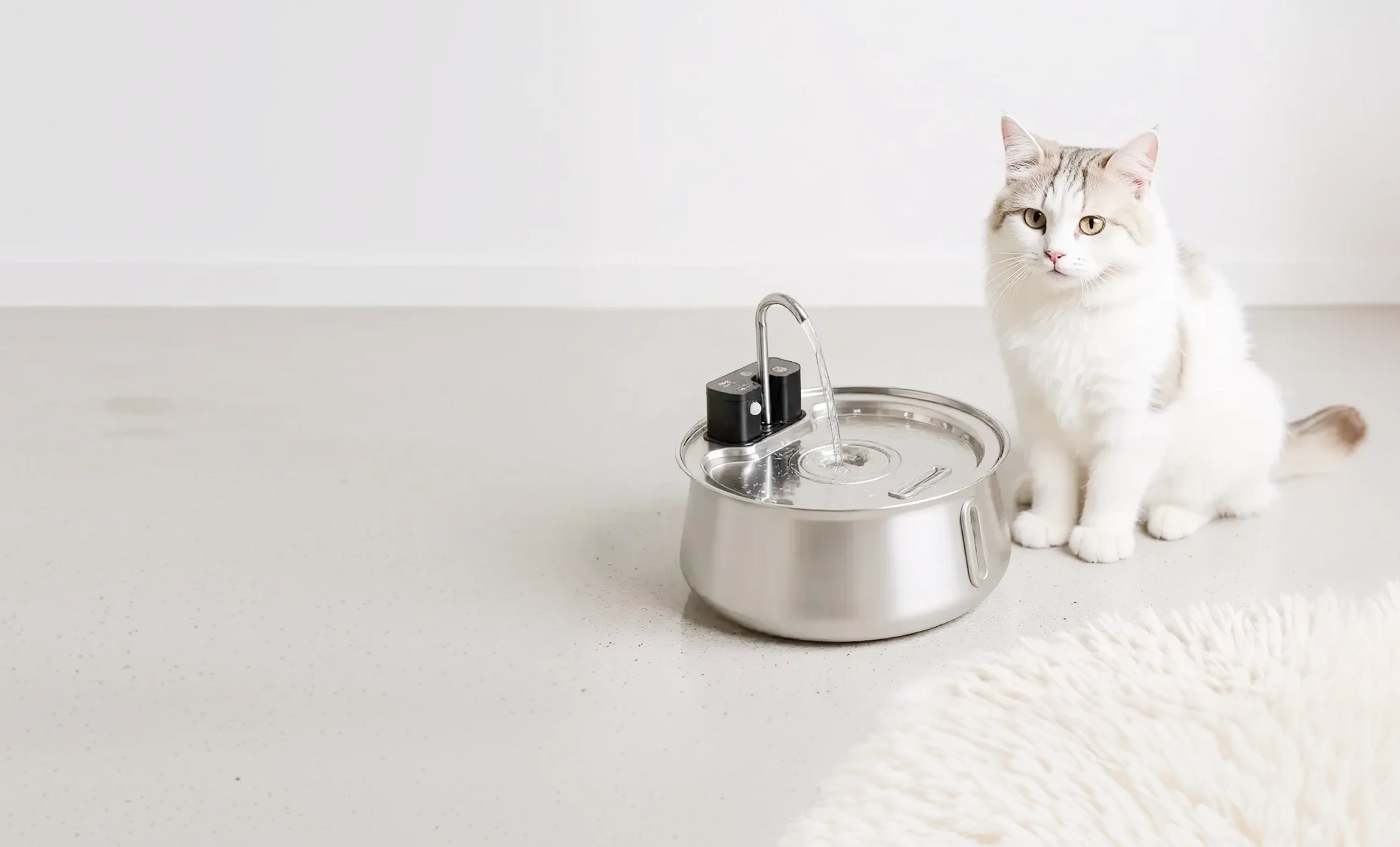 Fresher Water, Happier Cats